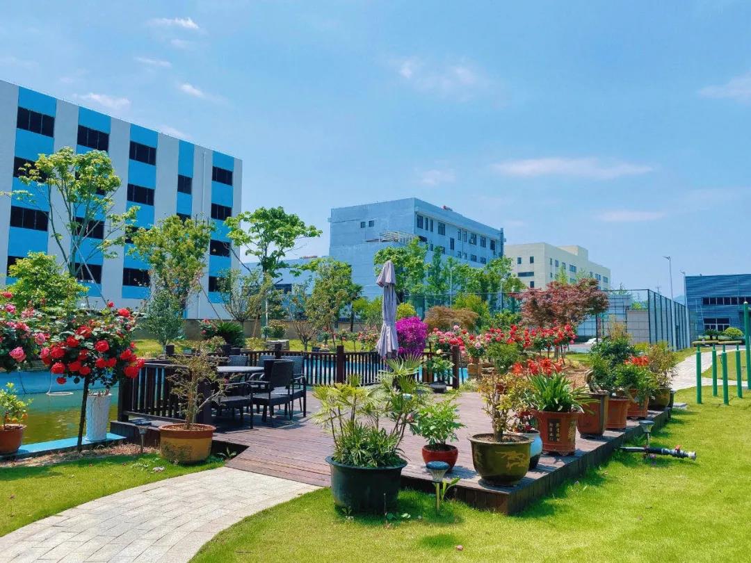 風(fēng)景這邊獨(dú)好！東大環(huán)境美景一覽，請(qǐng)查收