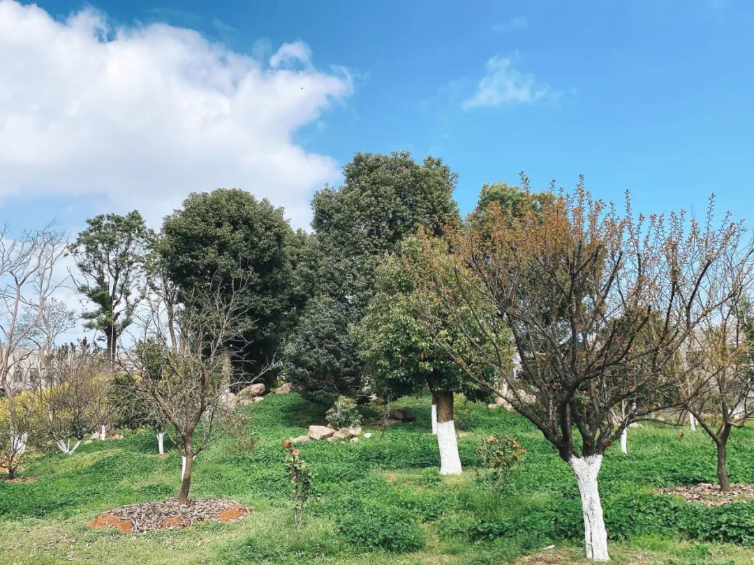 風(fēng)景這邊獨(dú)好！東大環(huán)境美景一覽，請(qǐng)查收