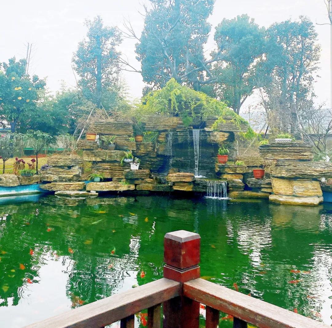 風(fēng)景這邊獨(dú)好！東大環(huán)境美景一覽，請(qǐng)查收