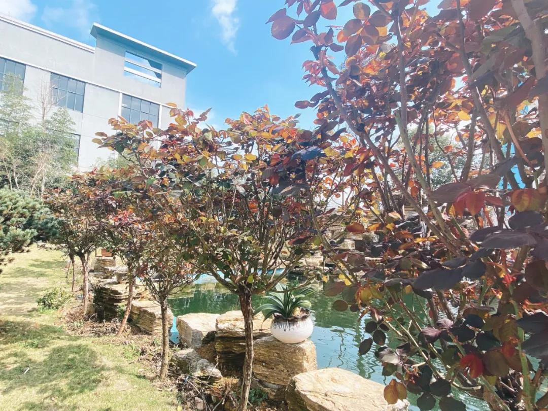 風(fēng)景這邊獨(dú)好！東大環(huán)境美景一覽，請(qǐng)查收