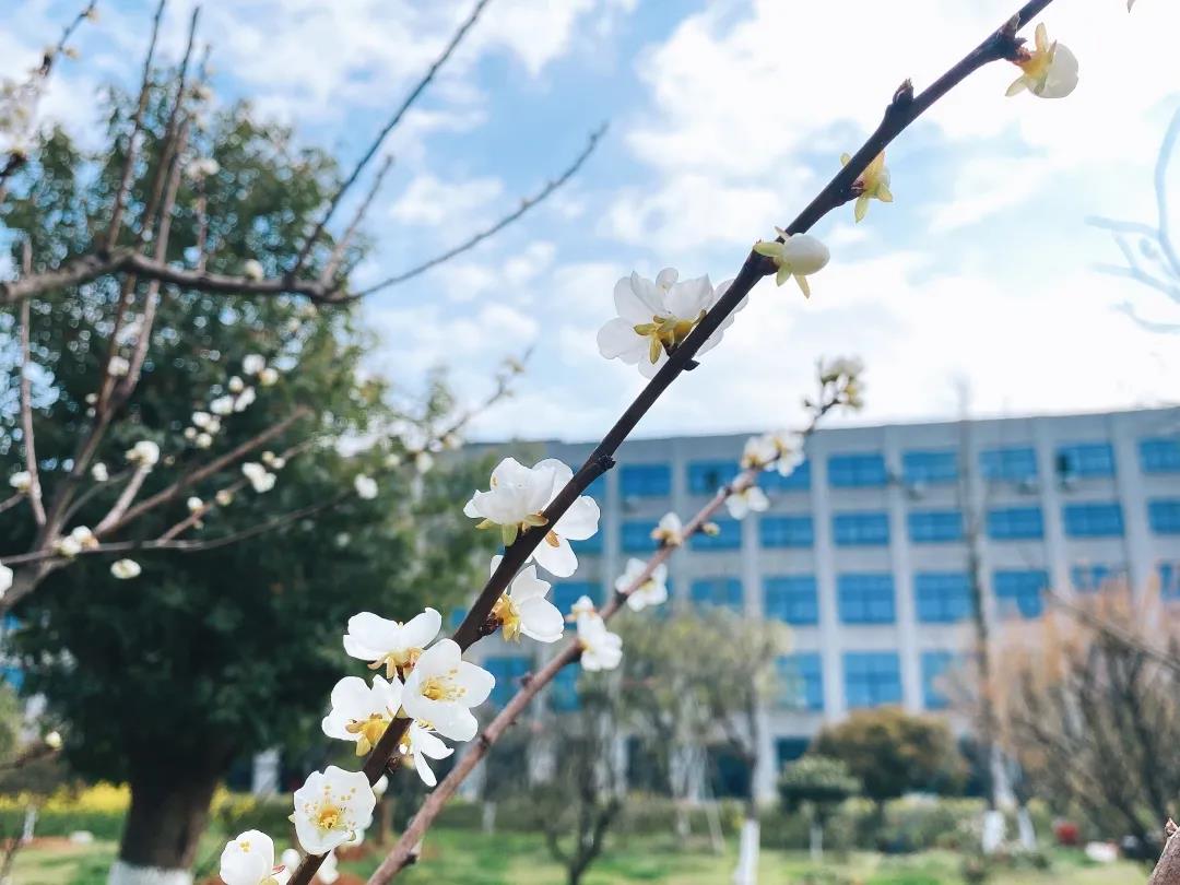 風(fēng)景這邊獨(dú)好！東大環(huán)境美景一覽，請(qǐng)查收