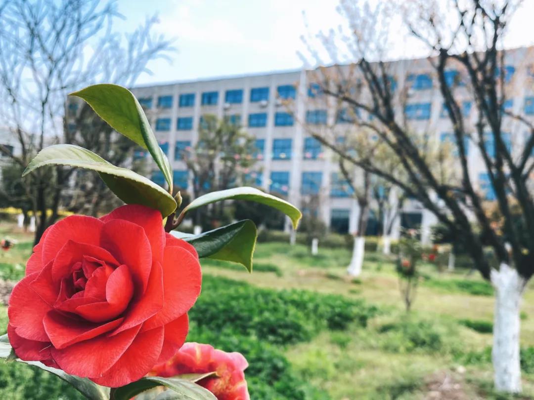 風(fēng)景這邊獨(dú)好！東大環(huán)境美景一覽，請(qǐng)查收